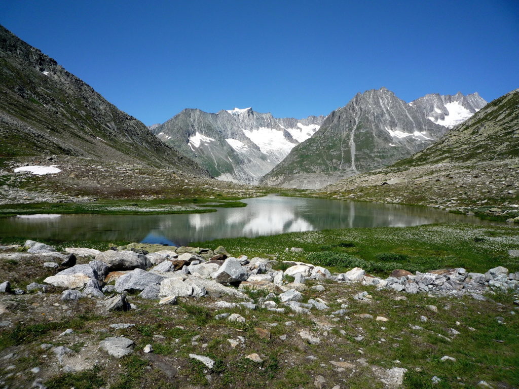 Bergmeer
