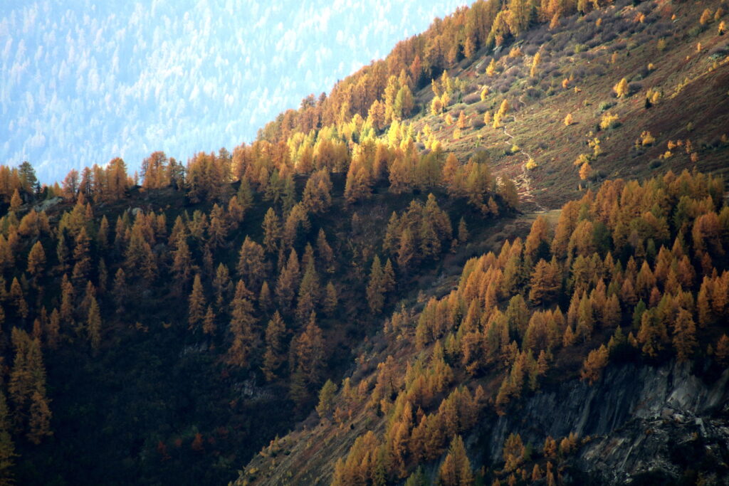 Herfst op de Belalp