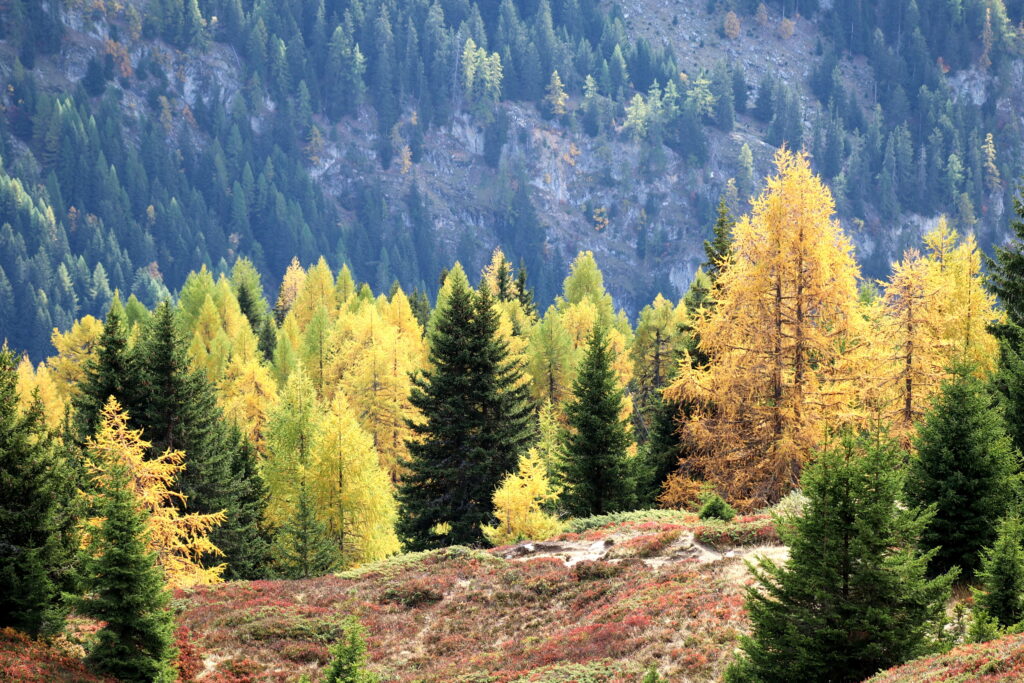Herfst op de Belalp